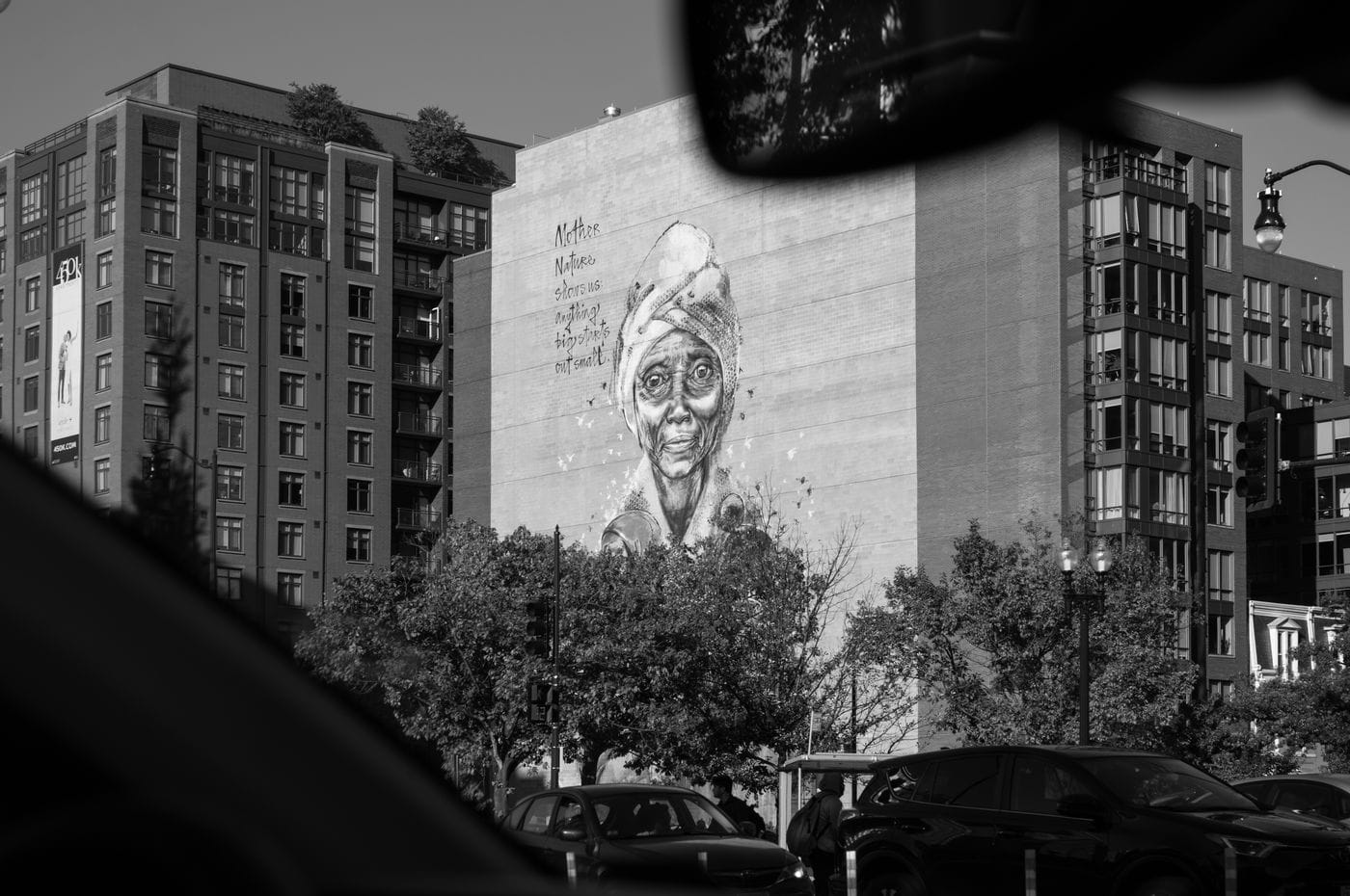 A black-and-white eye-level view of a mural on a brick building in an urban setting, featuring an elderly woman’s portrait and the words "Mother Nature shows us: anything big starts out small."
