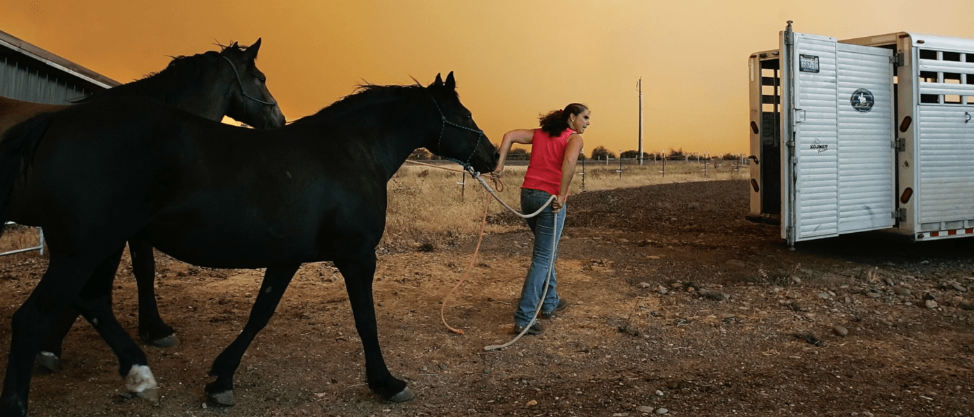 A woman in a red tank top and jeans leads a black horse toward an open livestock trailer against an eerie, smoke-filled orange sky.