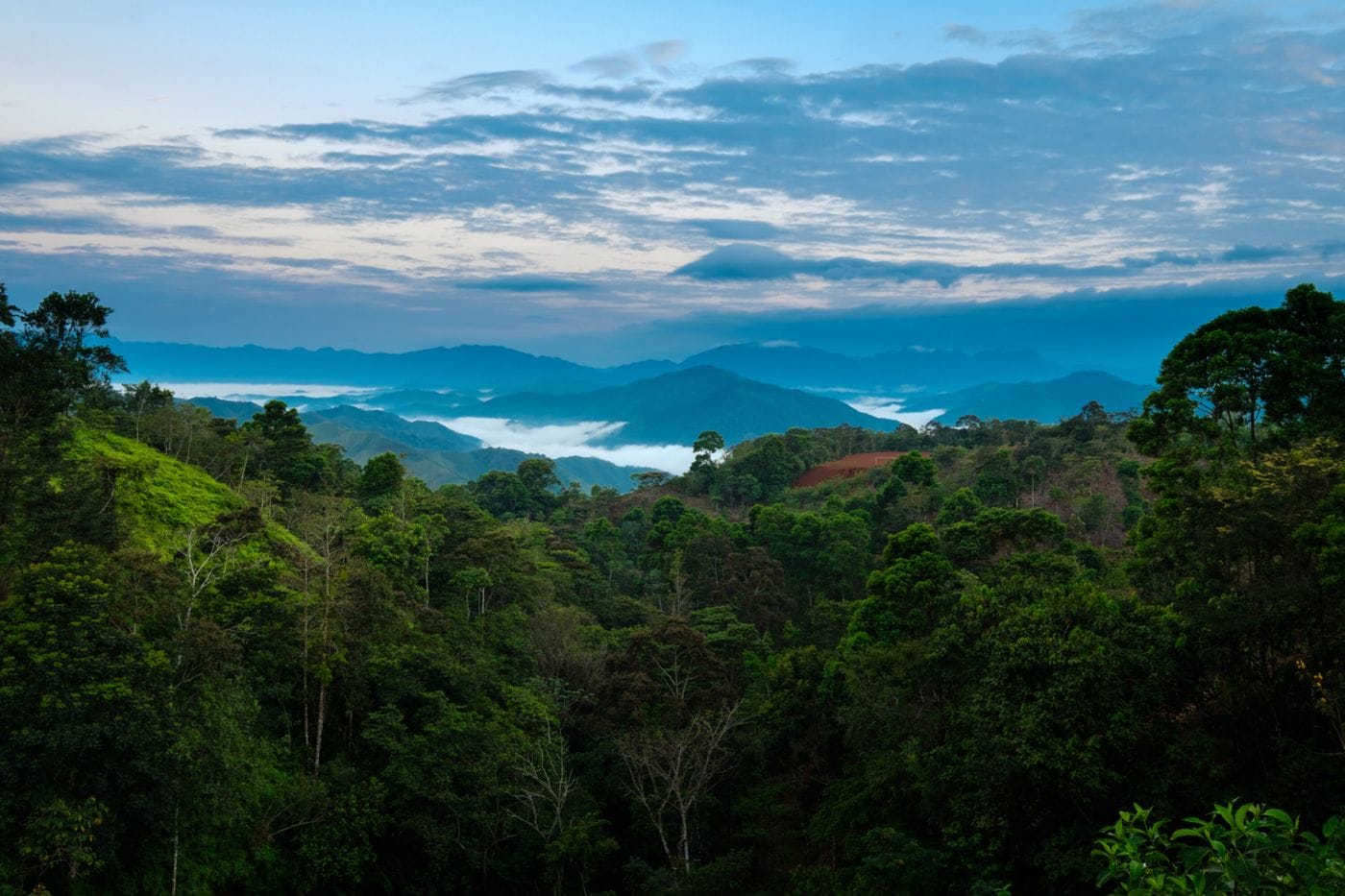 A landscape view features a lush green forest in the foreground, with layers of rolling blue mountain ridges partially blanketed by morning mist under a cloudy sky.