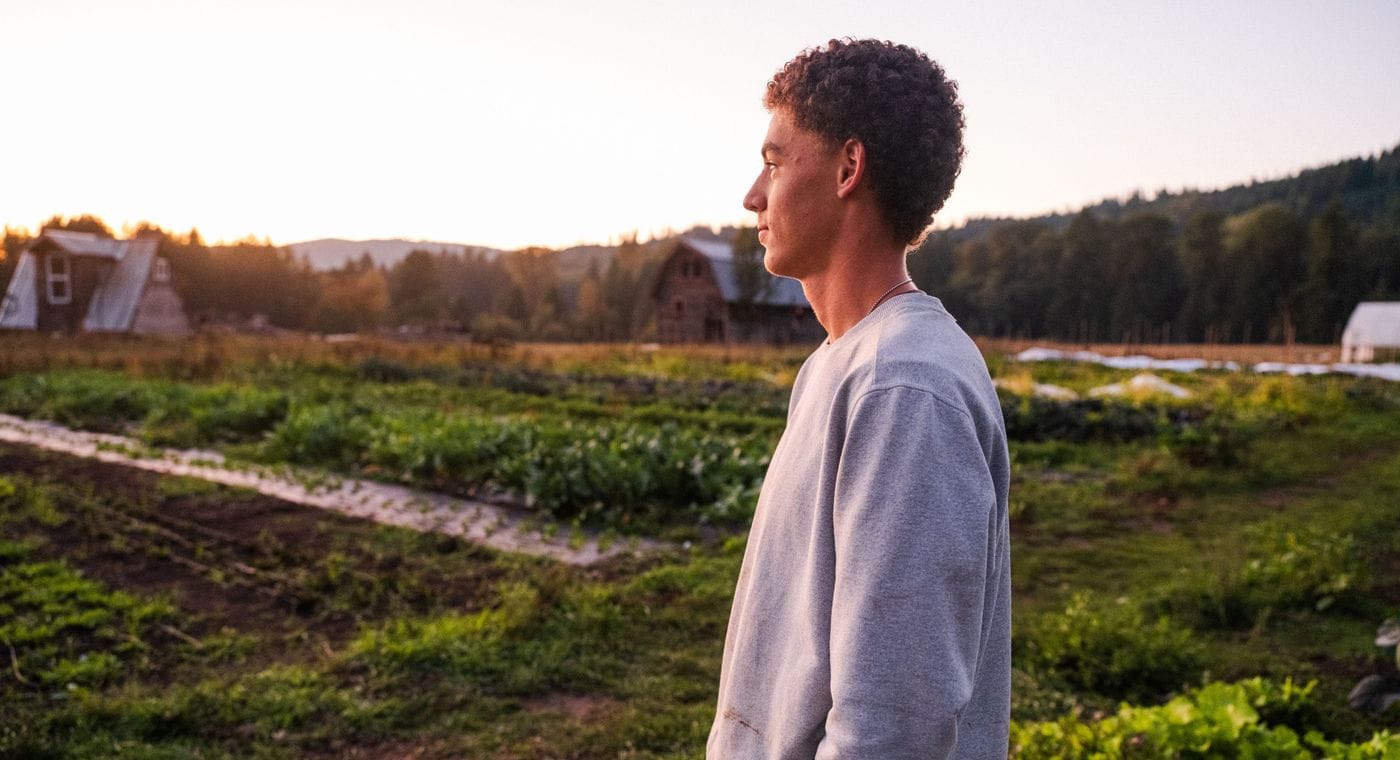 A young man with curly hair wears a light grey sweatshirt and looks off into the distance at a rural farmstead during a warm, golden sunset.