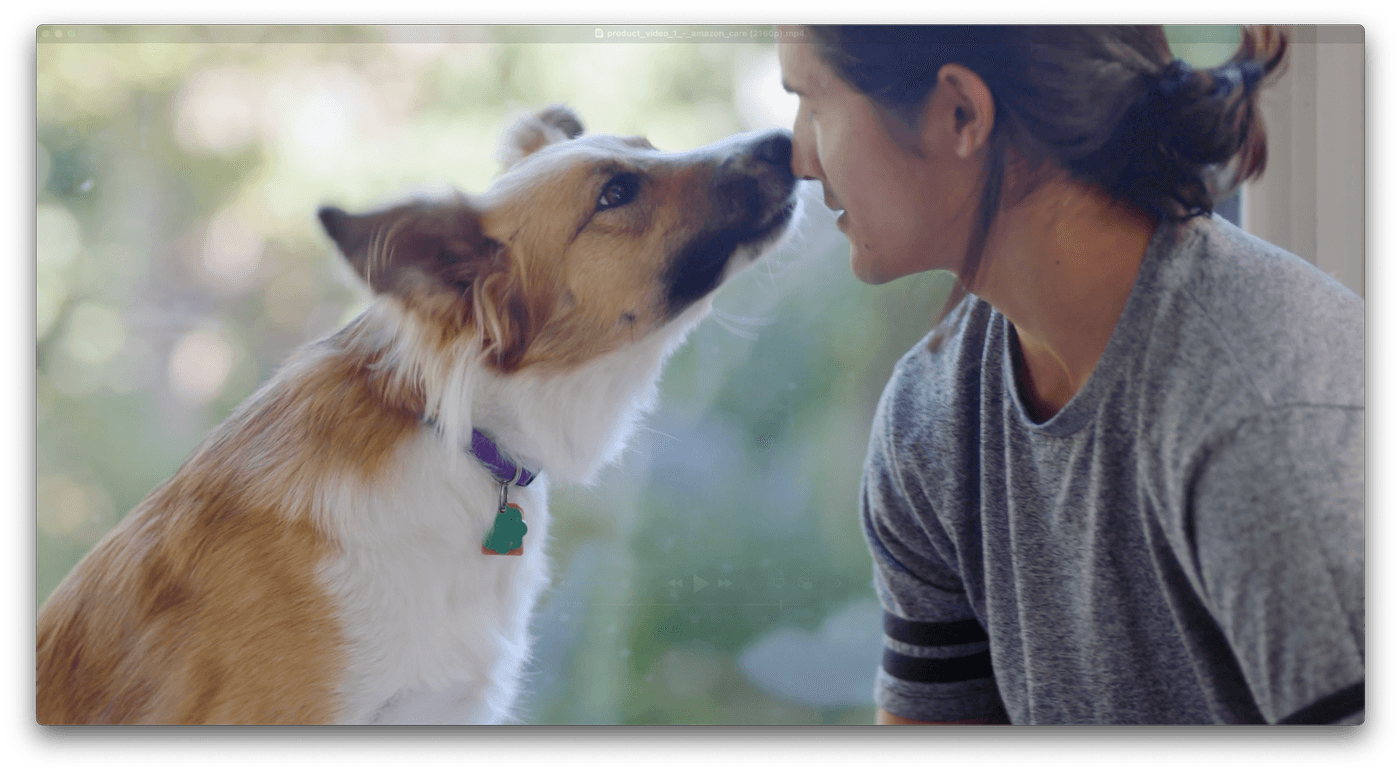 A young person with a ponytail leans in to touch noses with a brown and white dog wearing a purple collar and green tag.