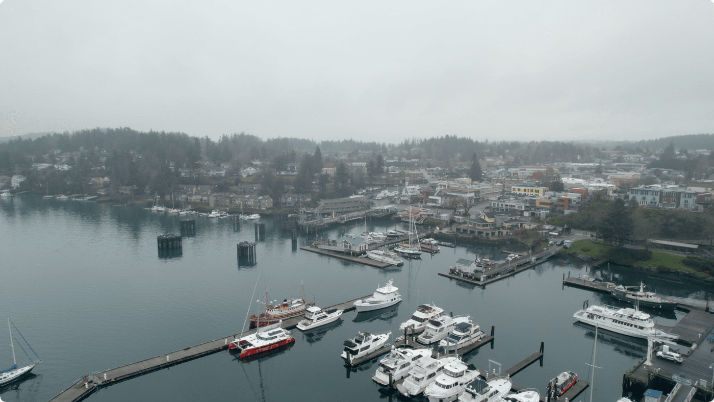 An aerial view of a harbor filled with various boats and yachts docked at piers, with a coastal town and forested hills visible in the background under a gray, overcast sky.