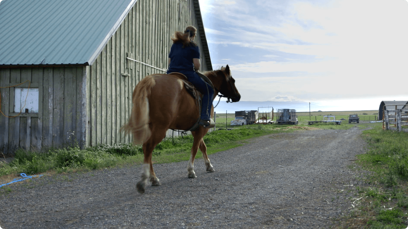 A person with long hair rides a chestnut horse along a gravel path next to a weathered green wooden barn on a farm.