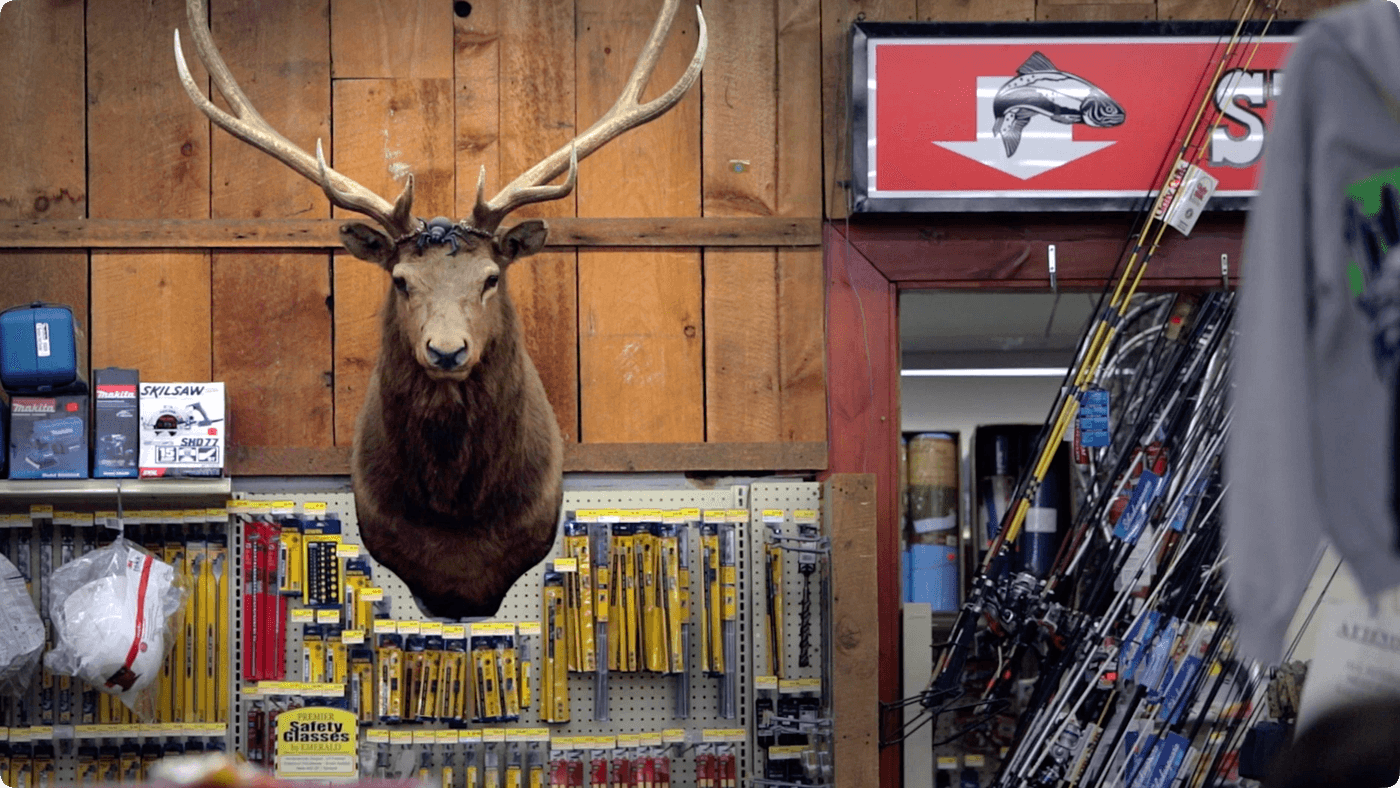A mounted elk head with a toy spider on its forehead hangs above a pegboard display of retail hardware and tools in a store with fishing rods visible in the background.
