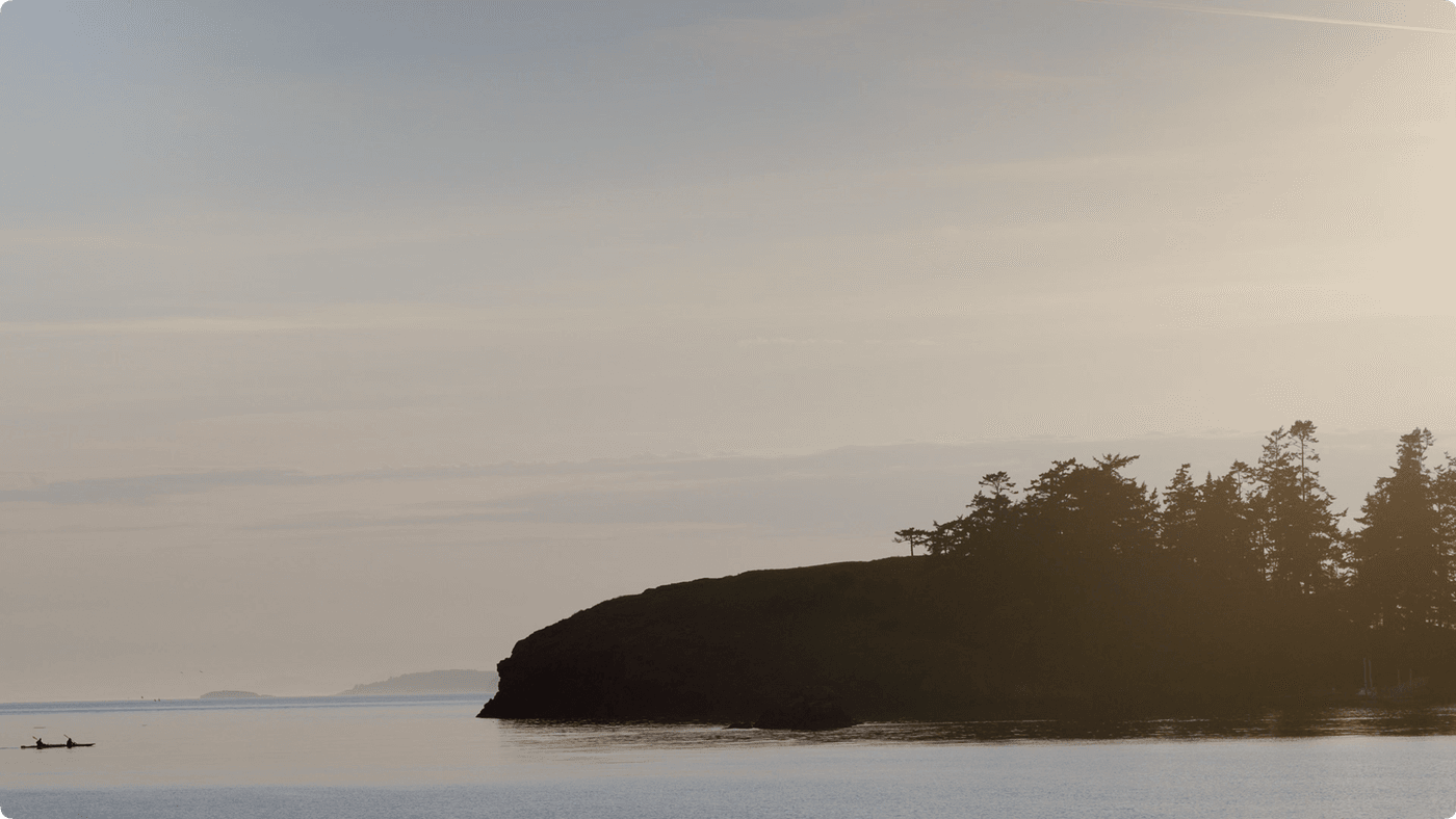 A silhouette of a treed headland juts into a calm, pale body of water at dusk, with a lone kayaker paddling in the distance.