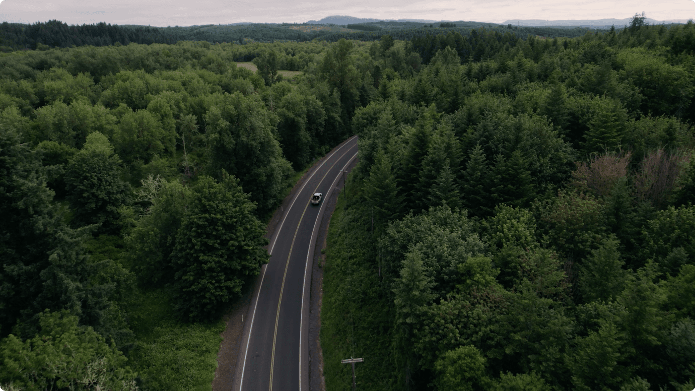 A white pickup truck drives along a curving asphalt road that cuts through a dense, lush green forest under an overcast sky.