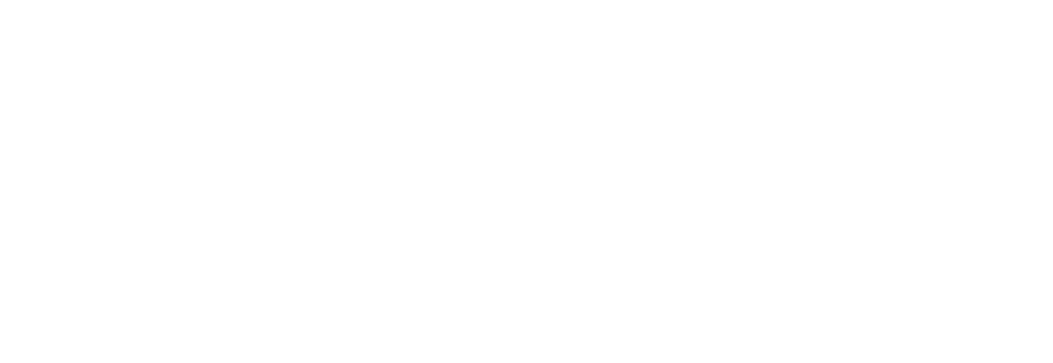 The Blue Nile logo features a stylized, monogram-style emblem of the letters B and N to the left of the brand name in a sleek, lowercase serif font, all in gray against a black background.